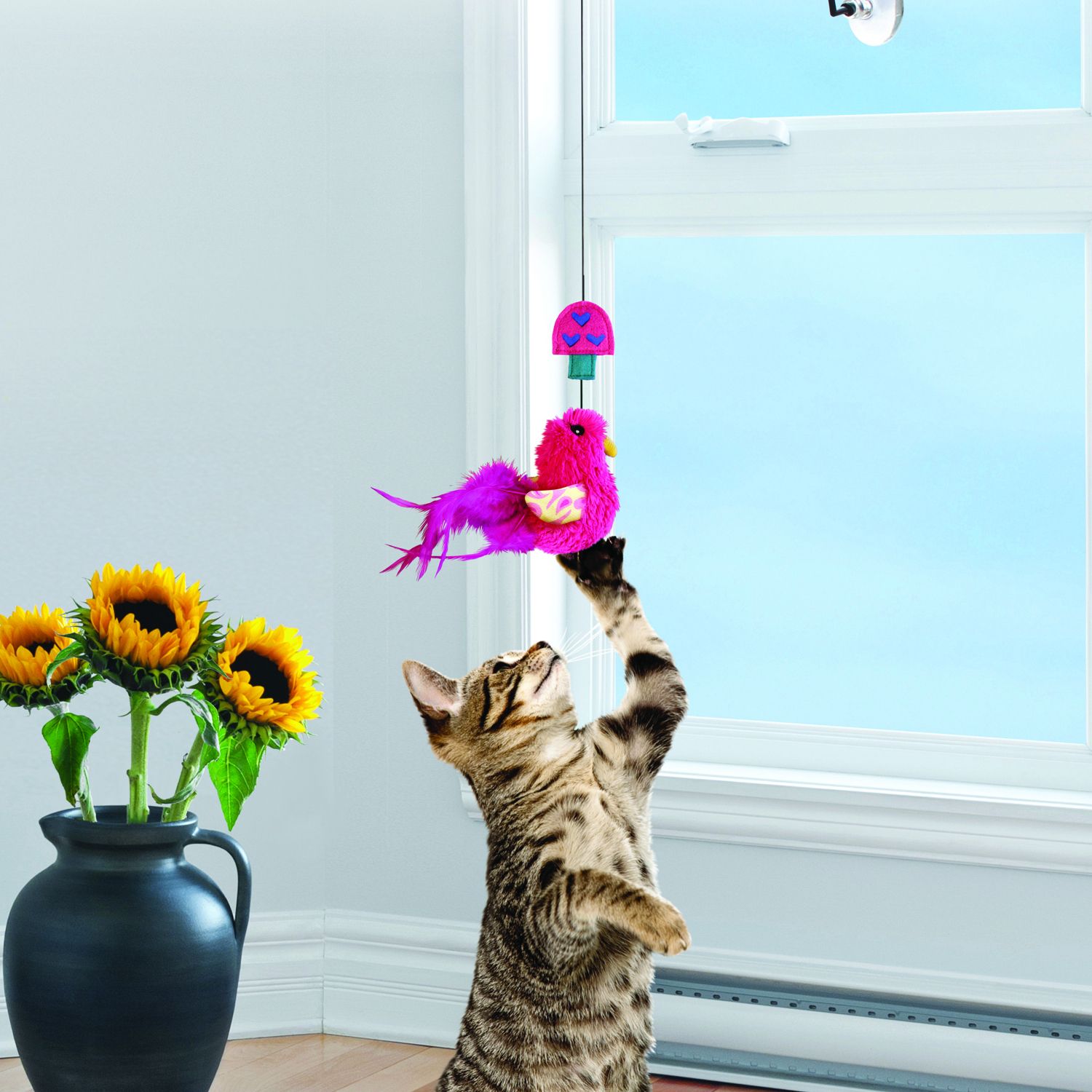 Kong Cat Window Teaser - Imagen 7