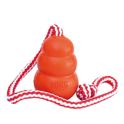 Kong Aqua