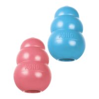 Kong Puppy