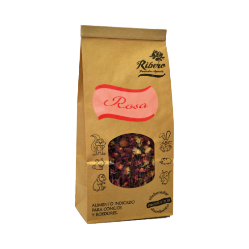 Rosa Ribero