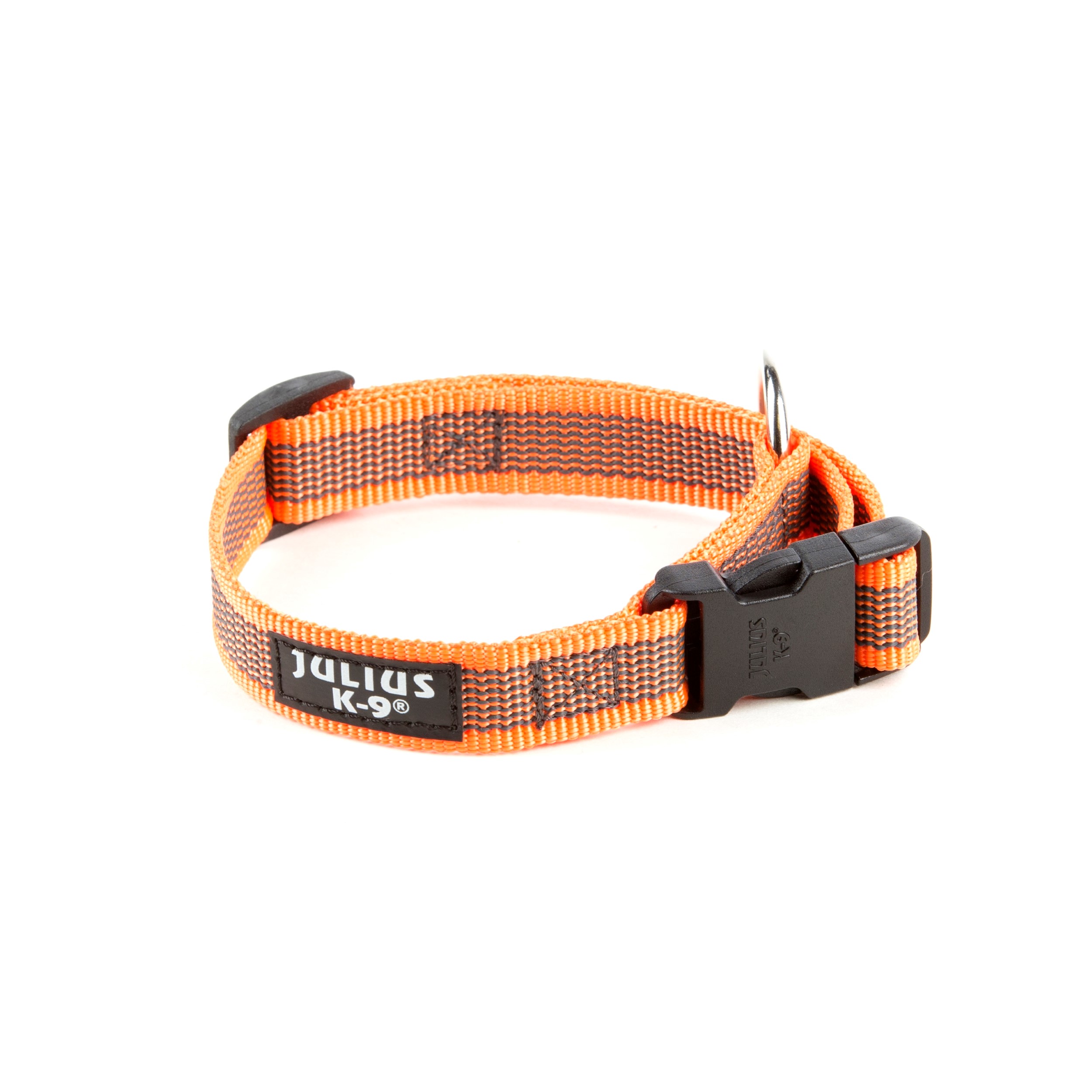 Collar Julius K9