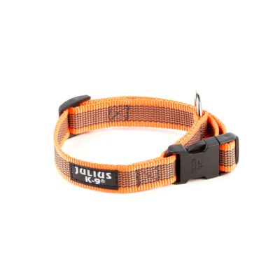 Collar Julius K9