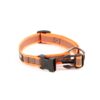Collar Julius K9 - Imagen 2