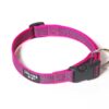 Collar Julius K9 - Imagen 5