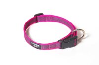 Collar Julius K9 - Imagen 5