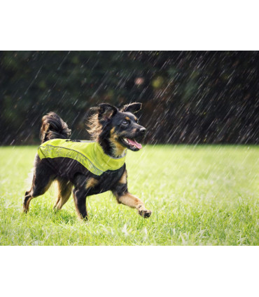 Impermeable Rogz Negro - Imagen 3