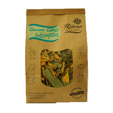 Gama Coad Ribero Anticongestiva