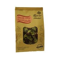 Gama Coad Ribero Especial Muda