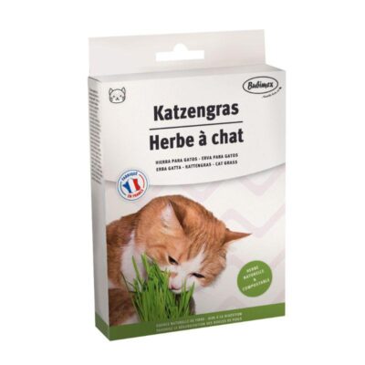 Hierba para Gatos