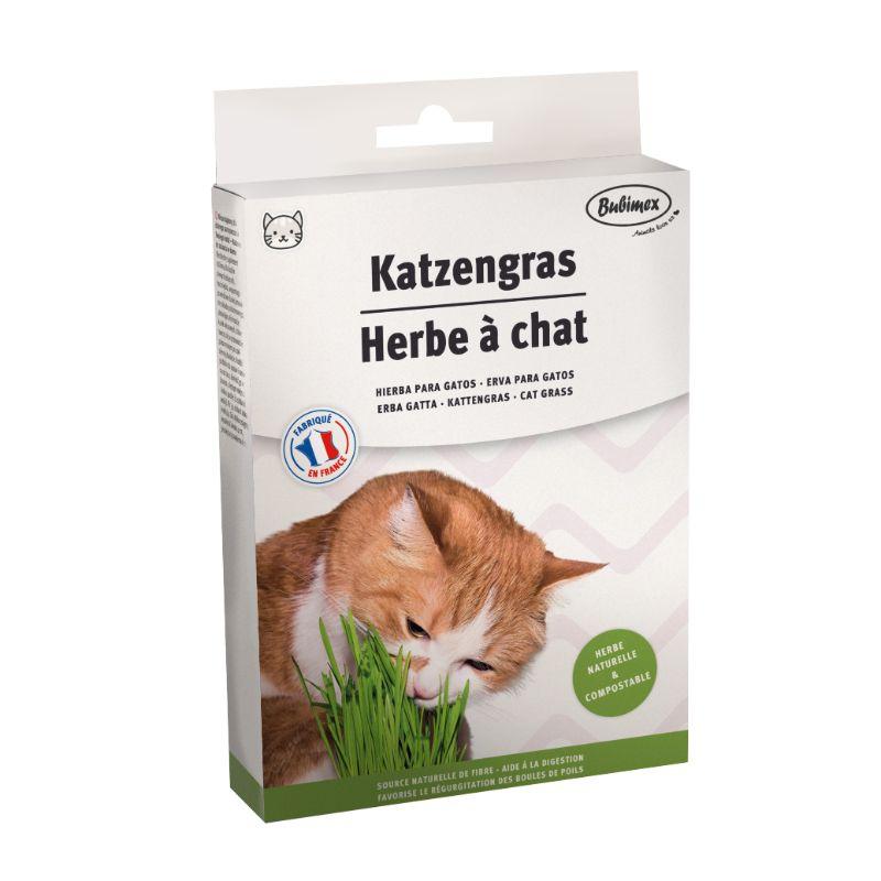 Hierba para Gatos
