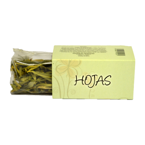 Kraquis Ribero Hojas
