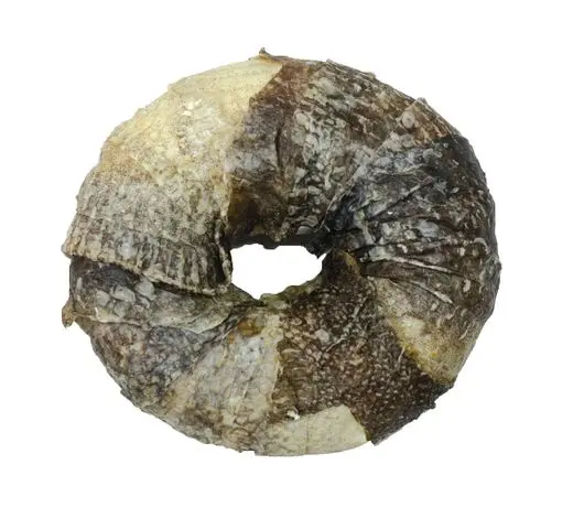 Donut de Pescado
