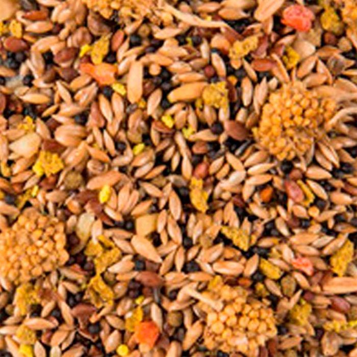 Alimento Witte Molen Puur Canarios - Imagen 2
