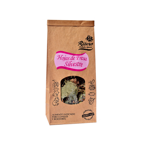 Hojas de Fresa Silvestre Ribero