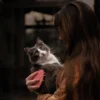 Cepillo Retorn Brush para Gatos - Imagen 4