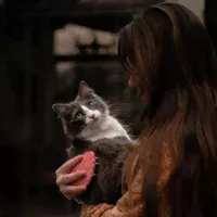 Cepillo Retorn Brush para Gatos - Imagen 4