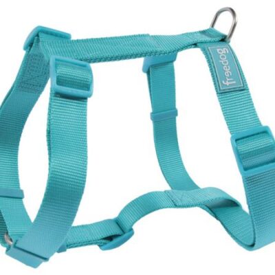 Arnés Basic Freedog Turquesa