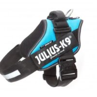 Arnés Julius K9 Power IDC Aguamarina