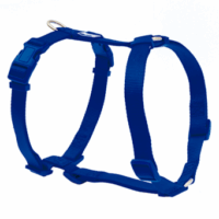 Arnés Basic Freedog Azul