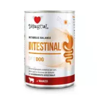 Comida húmeda Disugual Perro Intestinal Vacuno