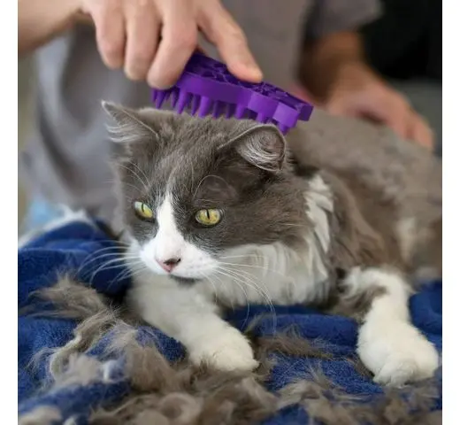 Kong Zoom Groom Cat - Imagen 4