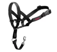 Collar Halti The Company of Animals - Imagen 2