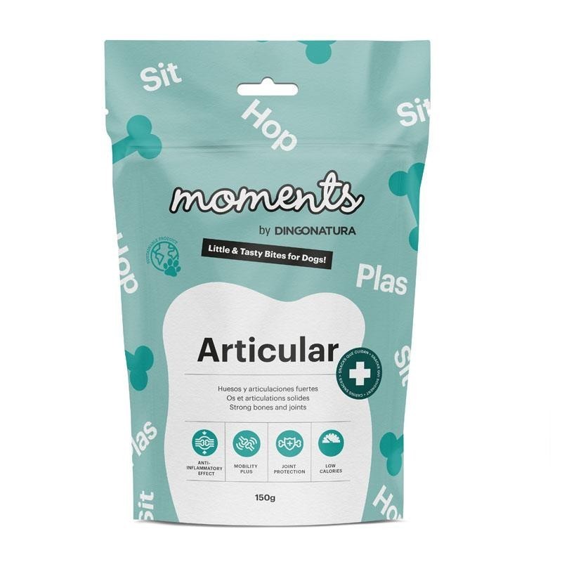 Moments Articular