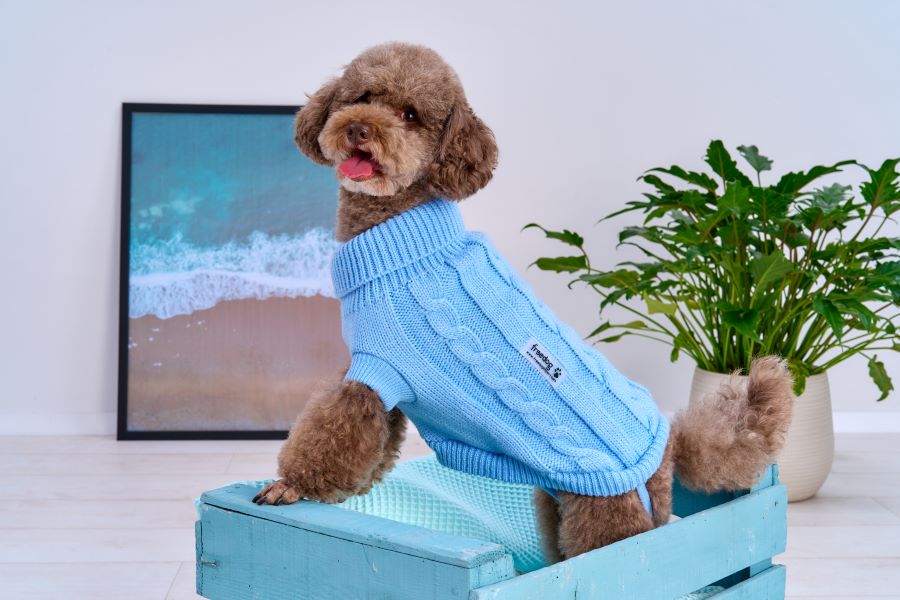 Jersey Freedog Nature Azul Cielo - Imagen 2