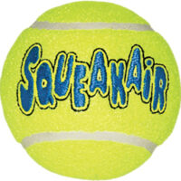 Pelota Kong Squeaker Air
