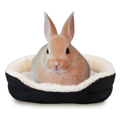 Cama Conejos y Roedores