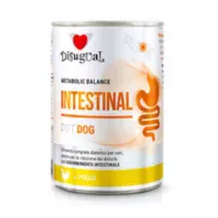 Comida húmeda Disugual Perro Intestinal Pollo