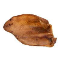 Oreja de Cerda