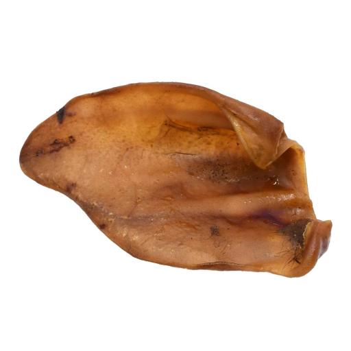 Oreja de Cerda