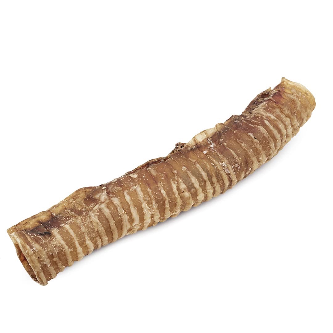 Tráquea de Buey 30 Cm