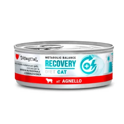 Comida húmeda Disugual Gato Recovery Cordero x12