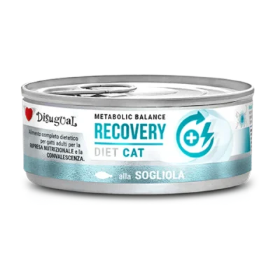 Comida húmeda Disugual Gato Recovery Lenguado x12