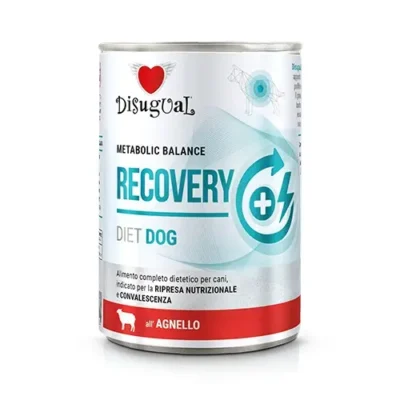 Comida húmeda Disugual Perro Recovery Cordero x6