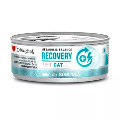 Comida húmeda Disugual Gato Recovery Lenguado x12