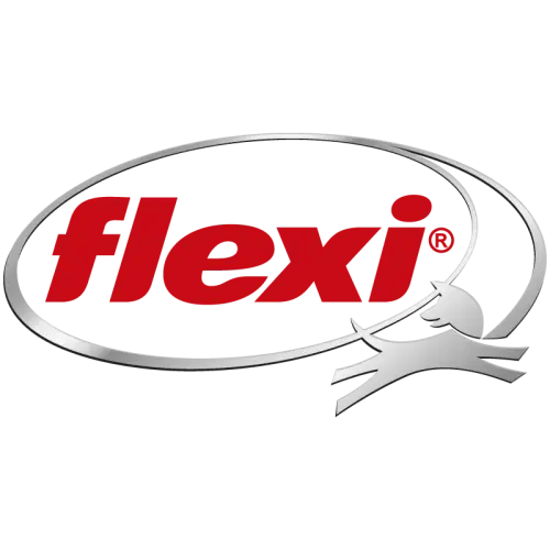 Logo Flexi